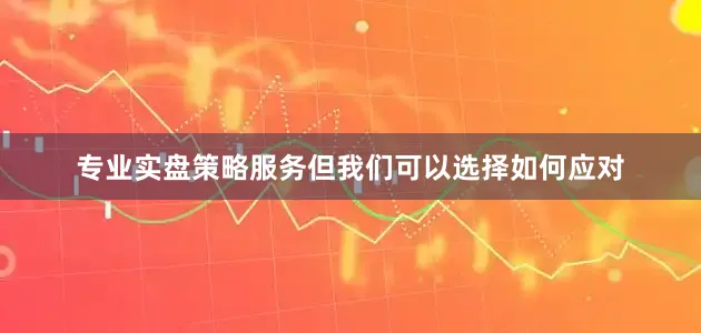 专业实盘策略服务但我们可以选择如何应对