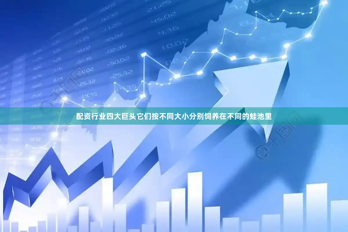 配资行业四大巨头它们按不同大小分别饲养在不同的蛙池里