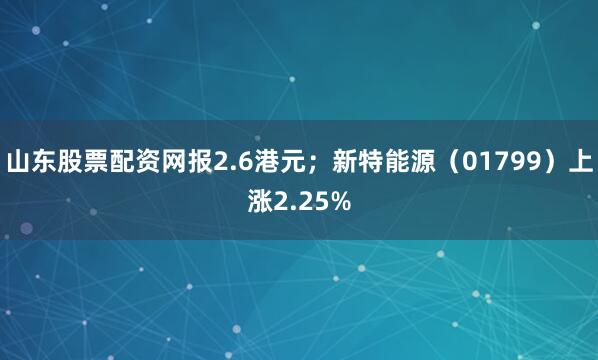山东股票配资网报2.6港元；新特能源（01799）上涨2.25%
