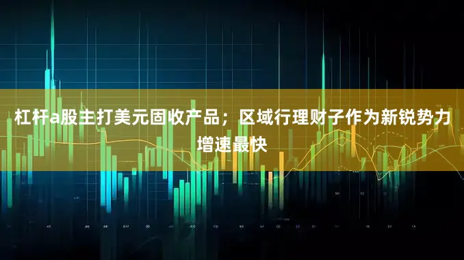 杠杆a股主打美元固收产品；区域行理财子作为新锐势力增速最快