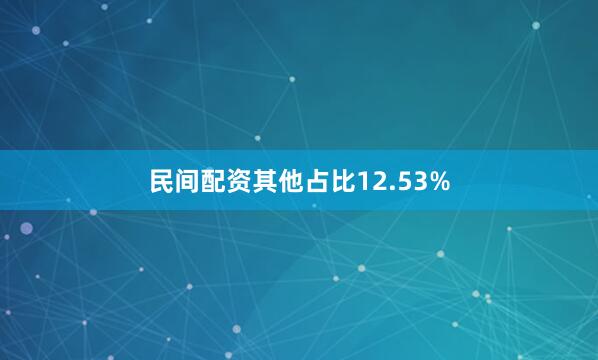 民间配资其他占比12.53%