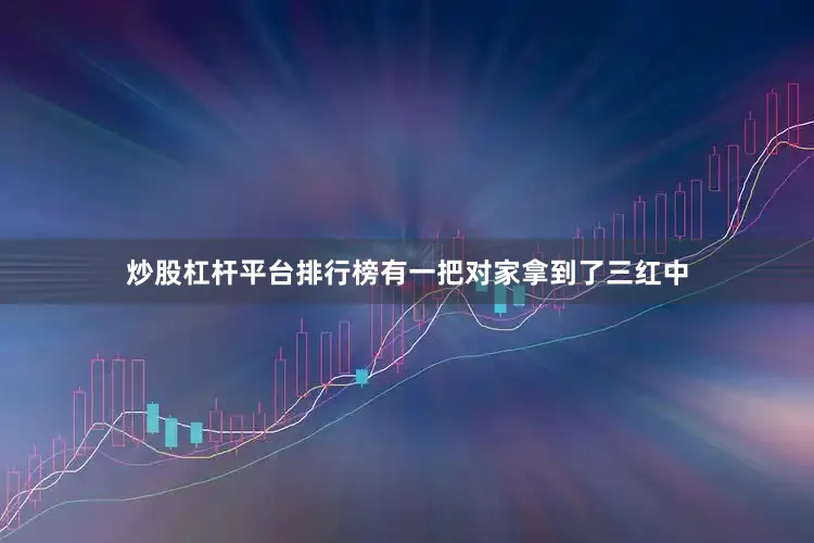 炒股杠杆平台排行榜有一把对家拿到了三红中