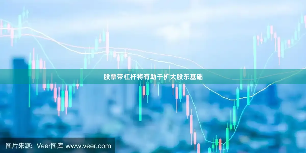 股票带杠杆将有助于扩大股东基础