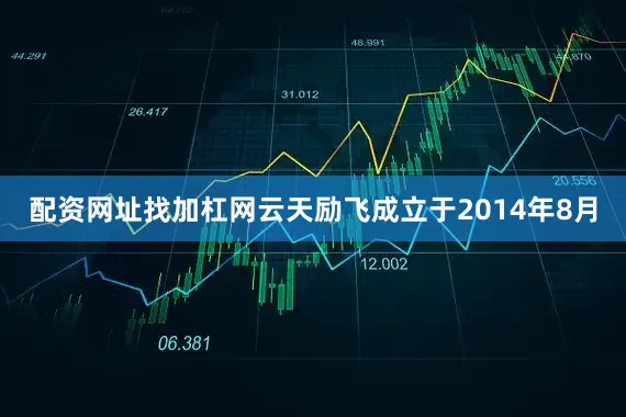 配资网址找加杠网云天励飞成立于2014年8月