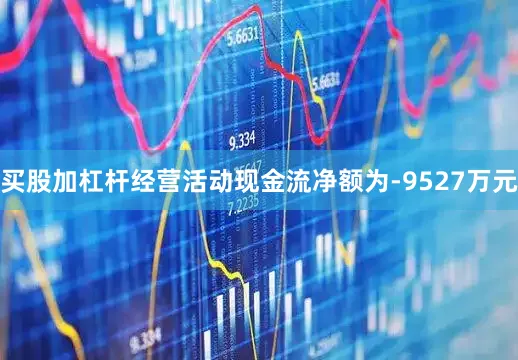 买股加杠杆经营活动现金流净额为-9527万元