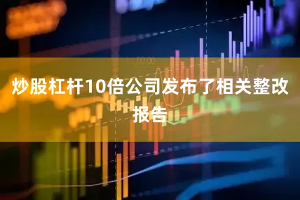 炒股杠杆10倍公司发布了相关整改报告